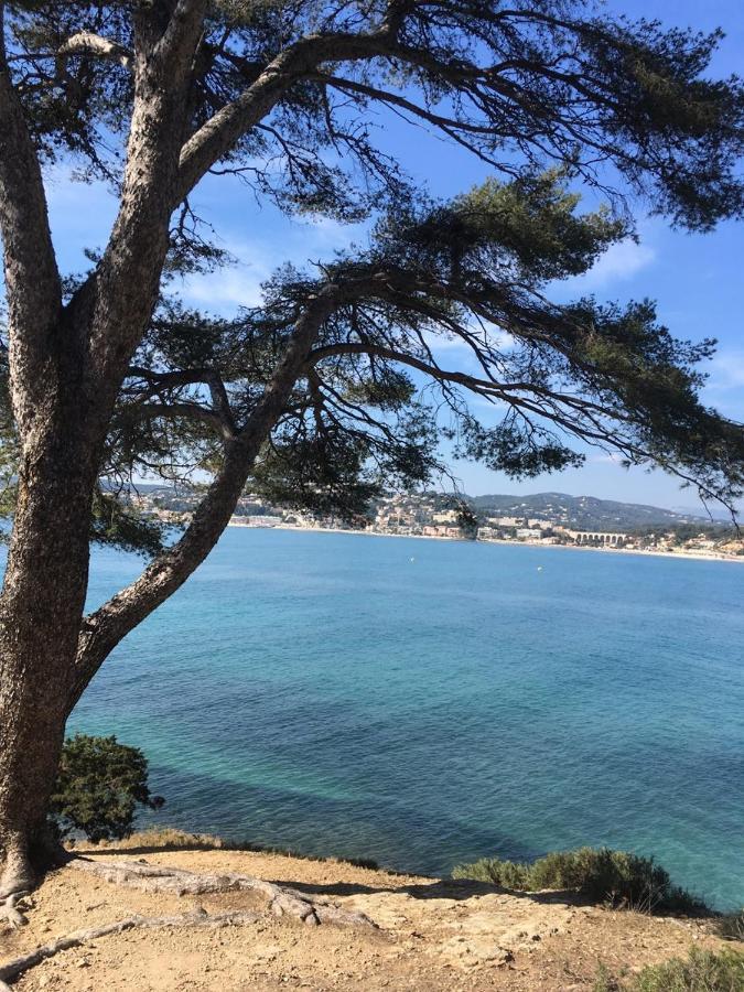 Les Galets De Sanary - Vue Mer Exterior foto